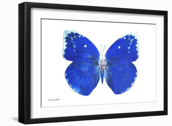 Miss Butterfly Catopsilia - X-Ray White Edition-Philippe Hugonnard-Framed Photographic Print