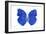 Miss Butterfly Catopsilia - X-Ray White Edition-Philippe Hugonnard-Framed Photographic Print