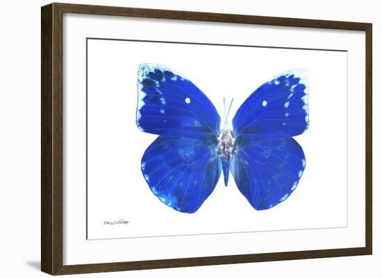 Miss Butterfly Catopsilia - X-Ray White Edition-Philippe Hugonnard-Framed Photographic Print