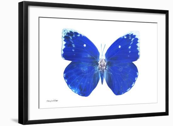 Miss Butterfly Catopsilia - X-Ray White Edition-Philippe Hugonnard-Framed Photographic Print