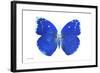 Miss Butterfly Catopsilia - X-Ray White Edition-Philippe Hugonnard-Framed Photographic Print