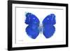 Miss Butterfly Catopsilia - X-Ray White Edition-Philippe Hugonnard-Framed Photographic Print