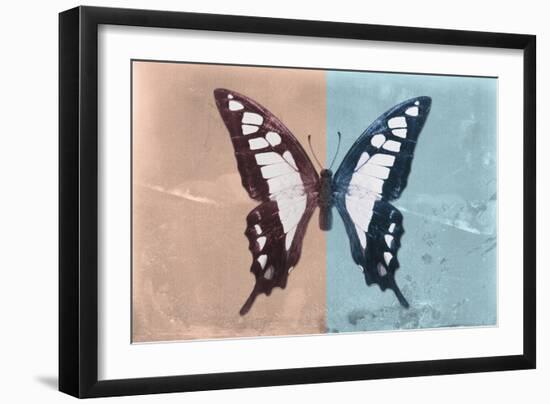 Miss Butterfly Cloanthus - Coral & Turquoise-Philippe Hugonnard-Framed Photographic Print