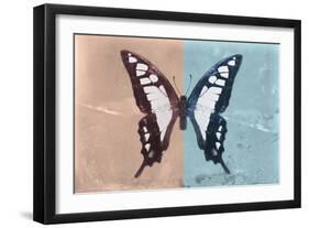 Miss Butterfly Cloanthus - Coral & Turquoise-Philippe Hugonnard-Framed Photographic Print