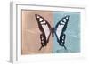 Miss Butterfly Cloanthus - Coral & Turquoise-Philippe Hugonnard-Framed Photographic Print