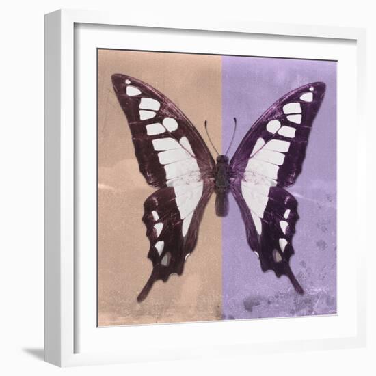 Miss Butterfly Cloanthus Sq - Coral & Mauve-Philippe Hugonnard-Framed Photographic Print