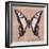 Miss Butterfly Cloanthus Sq - Coral-Philippe Hugonnard-Framed Photographic Print