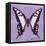 Miss Butterfly Cloanthus Sq - Mauve-Philippe Hugonnard-Framed Stretched Canvas