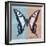 Miss Butterfly Cloanthus Sq - Turquoise & Coral-Philippe Hugonnard-Framed Photographic Print