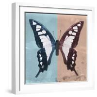 Miss Butterfly Cloanthus Sq - Turquoise & Coral-Philippe Hugonnard-Framed Photographic Print