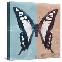 Miss Butterfly Cloanthus Sq - Turquoise & Coral-Philippe Hugonnard-Stretched Canvas