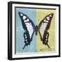 Miss Butterfly Cloanthus Sq - Turquoise & Yellow-Philippe Hugonnard-Framed Photographic Print