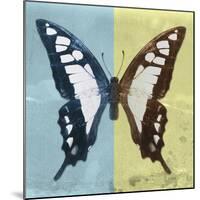 Miss Butterfly Cloanthus Sq - Turquoise & Yellow-Philippe Hugonnard-Mounted Photographic Print