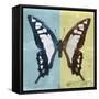 Miss Butterfly Cloanthus Sq - Turquoise & Yellow-Philippe Hugonnard-Framed Stretched Canvas