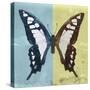 Miss Butterfly Cloanthus Sq - Turquoise & Yellow-Philippe Hugonnard-Stretched Canvas