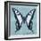 Miss Butterfly Cloanthus Sq - Turquoise-Philippe Hugonnard-Framed Photographic Print