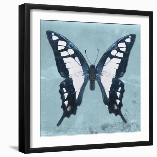 Miss Butterfly Cloanthus Sq - Turquoise-Philippe Hugonnard-Framed Photographic Print