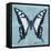 Miss Butterfly Cloanthus Sq - Turquoise-Philippe Hugonnard-Framed Stretched Canvas