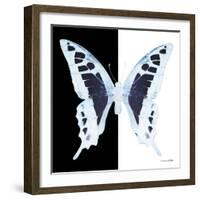 Miss Butterfly Cloanthus Sq - X-Ray B&W Edition-Philippe Hugonnard-Framed Photographic Print