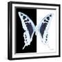 Miss Butterfly Cloanthus Sq - X-Ray B&W Edition-Philippe Hugonnard-Framed Photographic Print