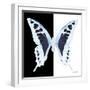 Miss Butterfly Cloanthus Sq - X-Ray B&W Edition-Philippe Hugonnard-Framed Photographic Print