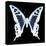 Miss Butterfly Cloanthus Sq - X-Ray Black Edition-Philippe Hugonnard-Stretched Canvas