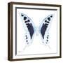 Miss Butterfly Cloanthus Sq - X-Ray White Edition-Philippe Hugonnard-Framed Photographic Print