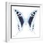 Miss Butterfly Cloanthus Sq - X-Ray White Edition-Philippe Hugonnard-Framed Photographic Print