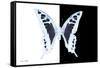 Miss Butterfly Cloanthus - X-Ray B&W Edition-Philippe Hugonnard-Framed Stretched Canvas