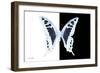 Miss Butterfly Cloanthus - X-Ray B&W Edition-Philippe Hugonnard-Framed Photographic Print