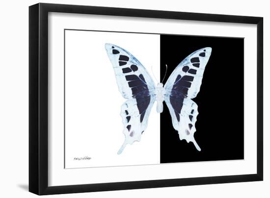 Miss Butterfly Cloanthus - X-Ray B&W Edition-Philippe Hugonnard-Framed Photographic Print