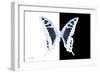 Miss Butterfly Cloanthus - X-Ray B&W Edition-Philippe Hugonnard-Framed Photographic Print