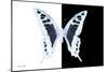 Miss Butterfly Cloanthus - X-Ray B&W Edition-Philippe Hugonnard-Mounted Photographic Print