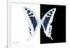 Miss Butterfly Cloanthus - X-Ray B&W Edition-Philippe Hugonnard-Framed Photographic Print