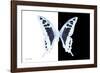 Miss Butterfly Cloanthus - X-Ray B&W Edition-Philippe Hugonnard-Framed Photographic Print