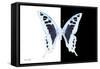 Miss Butterfly Cloanthus - X-Ray B&W Edition-Philippe Hugonnard-Framed Stretched Canvas