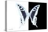 Miss Butterfly Cloanthus - X-Ray B&W Edition-Philippe Hugonnard-Stretched Canvas