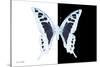 Miss Butterfly Cloanthus - X-Ray B&W Edition-Philippe Hugonnard-Stretched Canvas