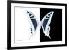 Miss Butterfly Cloanthus - X-Ray B&W Edition-Philippe Hugonnard-Framed Photographic Print