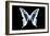 Miss Butterfly Cloanthus - X-Ray Black Edition-Philippe Hugonnard-Framed Photographic Print