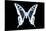 Miss Butterfly Cloanthus - X-Ray Black Edition-Philippe Hugonnard-Stretched Canvas