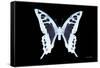 Miss Butterfly Cloanthus - X-Ray Black Edition-Philippe Hugonnard-Framed Stretched Canvas