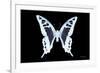 Miss Butterfly Cloanthus - X-Ray Black Edition-Philippe Hugonnard-Framed Photographic Print