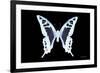 Miss Butterfly Cloanthus - X-Ray Black Edition-Philippe Hugonnard-Framed Photographic Print