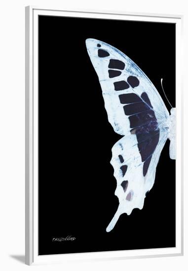 Miss Butterfly Cloanthus - X-Ray Left Black Edition-Philippe Hugonnard-Framed Premium Photographic Print