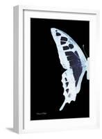 Miss Butterfly Cloanthus - X-Ray Left Black Edition-Philippe Hugonnard-Framed Photographic Print