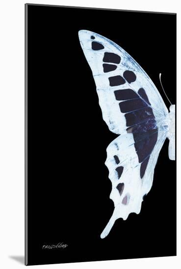 Miss Butterfly Cloanthus - X-Ray Left Black Edition-Philippe Hugonnard-Mounted Photographic Print