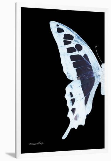 Miss Butterfly Cloanthus - X-Ray Left Black Edition-Philippe Hugonnard-Framed Photographic Print