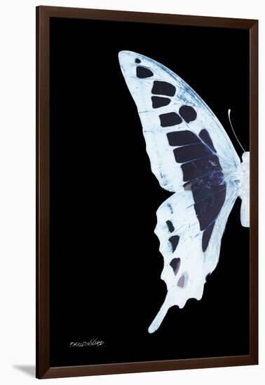 Miss Butterfly Cloanthus - X-Ray Left Black Edition-Philippe Hugonnard-Framed Photographic Print