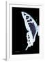 Miss Butterfly Cloanthus - X-Ray Left Black Edition-Philippe Hugonnard-Framed Photographic Print